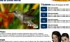 noticiastelenorte.com